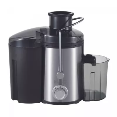 Royalty Line RL-PJ19001 : Extracteur de jus en acier inoxydable 15L - 700W - Gris